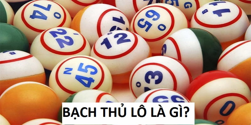 Bạch thủ lô là gì ảnh bìa